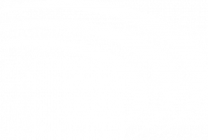 Expandasign logo stripes